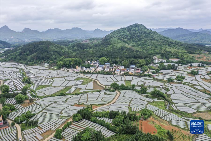 这是广西桂林市全州县才湾镇毛竹山村（2021年4月25日摄，无人机照片）。新华社记者 曹祎铭 摄